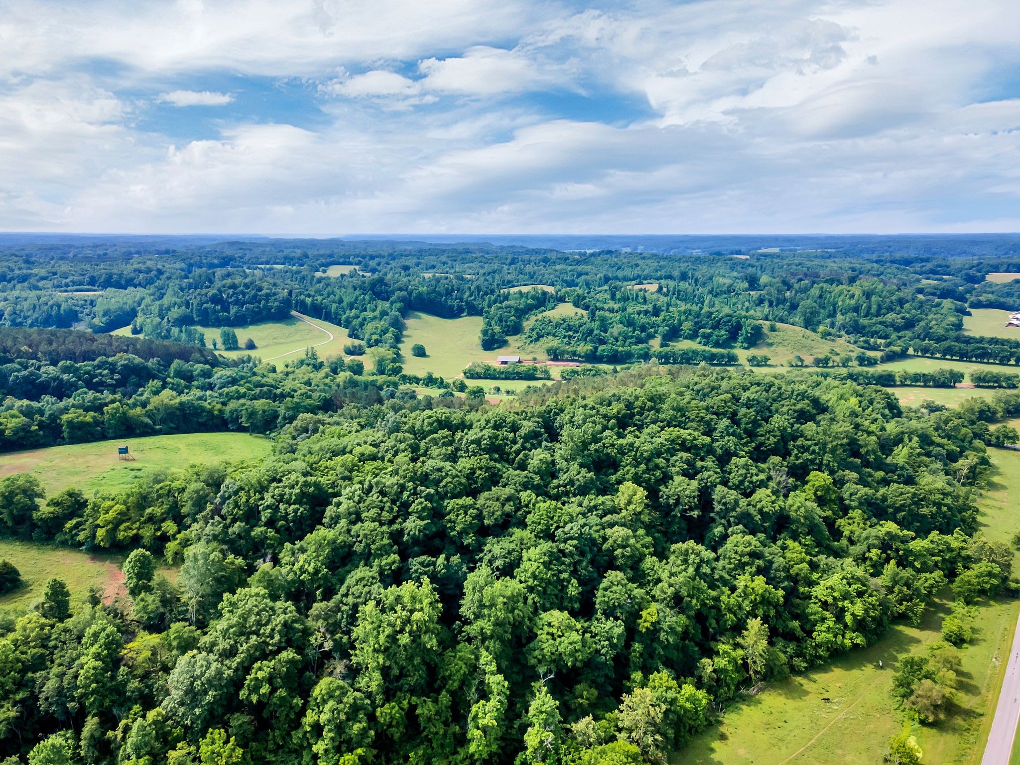 1764 Wray Branch Road Minor Hill, TN 38473 - Photo 27 of 28