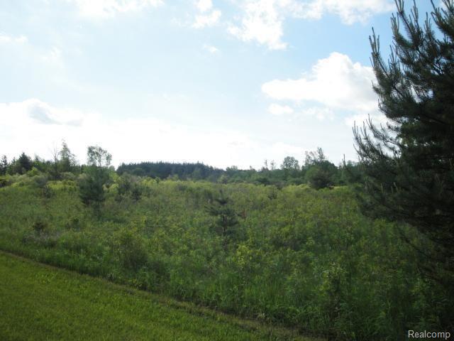 0 Pine Knoll Road Capac, MI 48014 - Photo 2 of 7 #2.jpg