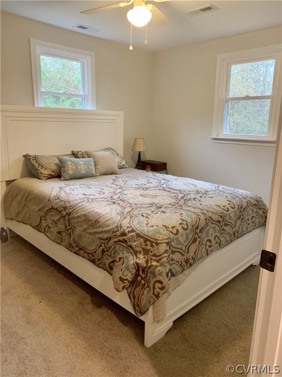 111 Columbia Road Cartersville, VA 23027 - Photo 6 of 32 Gallery Image 6