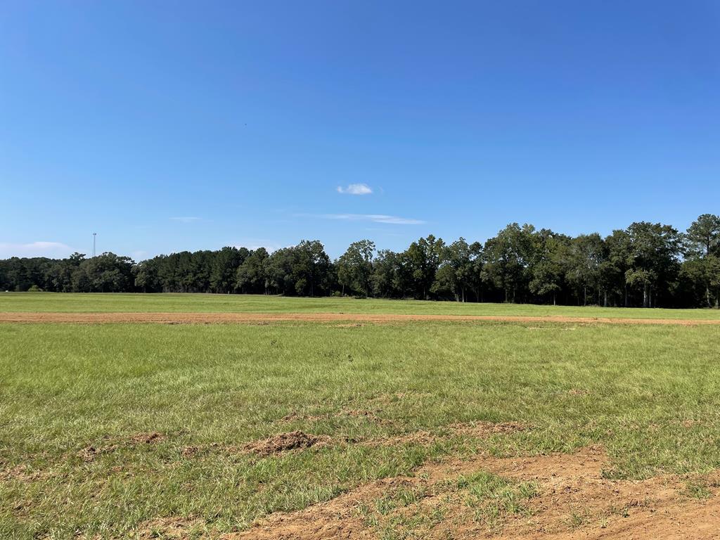 3 Iris Road Dothan, AL 36301 - Photo 6 of 6