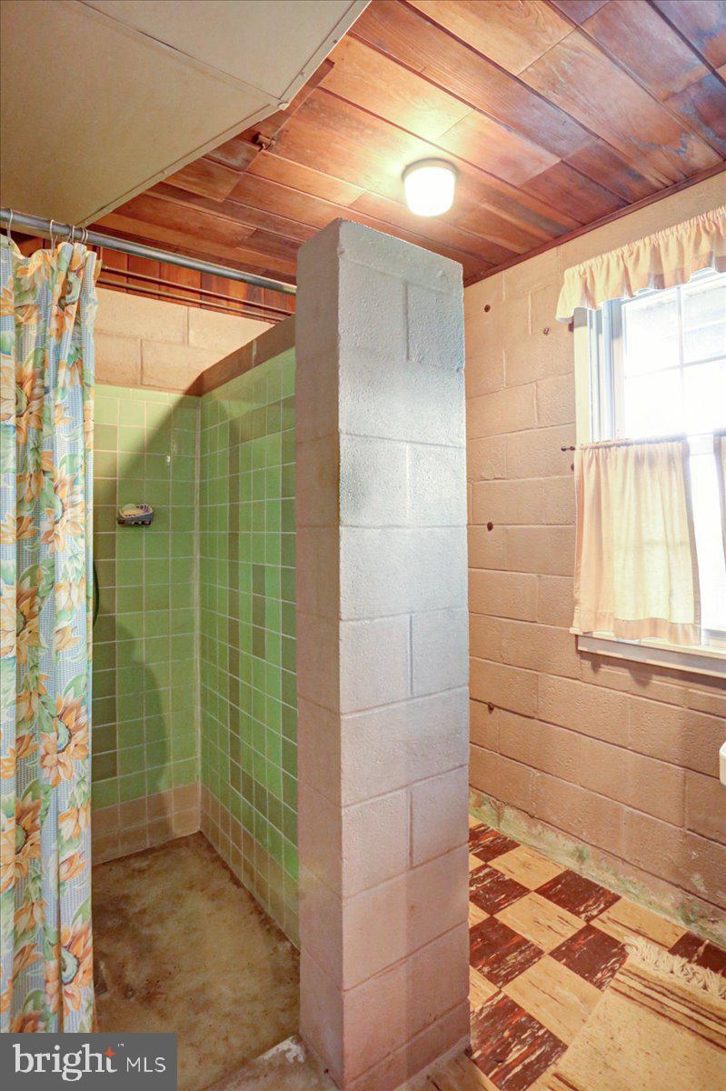 1102 Old Fritztown Road Reading, PA 19608 - Photo 22 of 30 Lower Level Bathroom