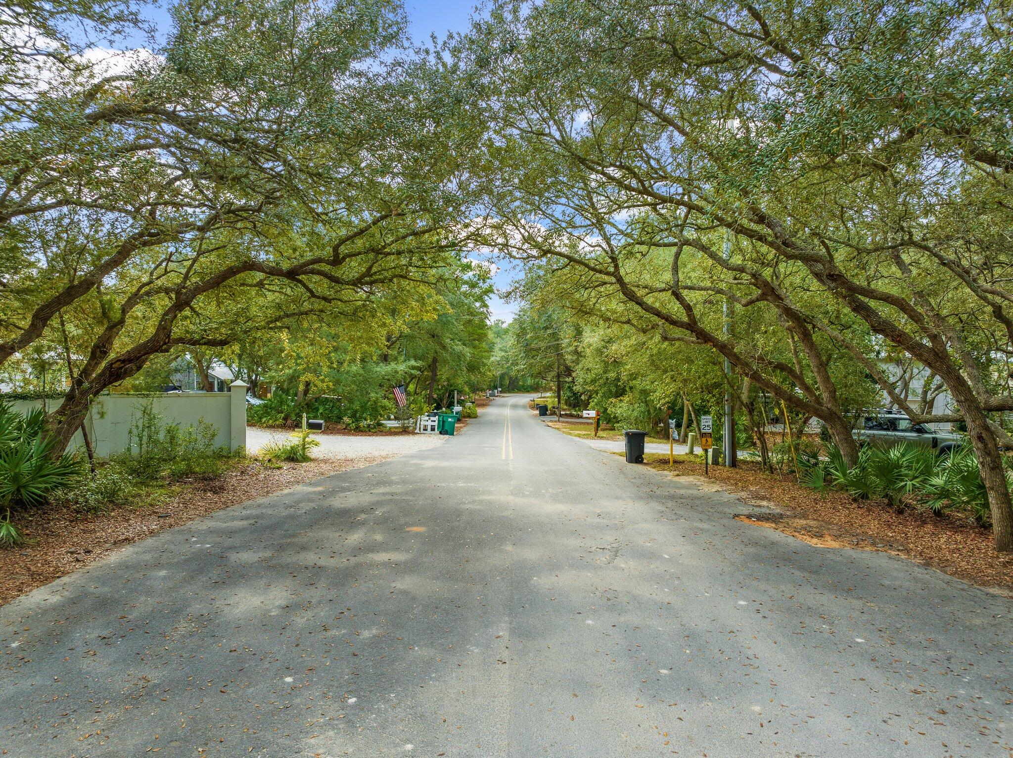 9 South Camp Creek Rd Inlet Beach Inlet Beach, FL 32461 - Photo 2 of 11 a view of a road with a trees