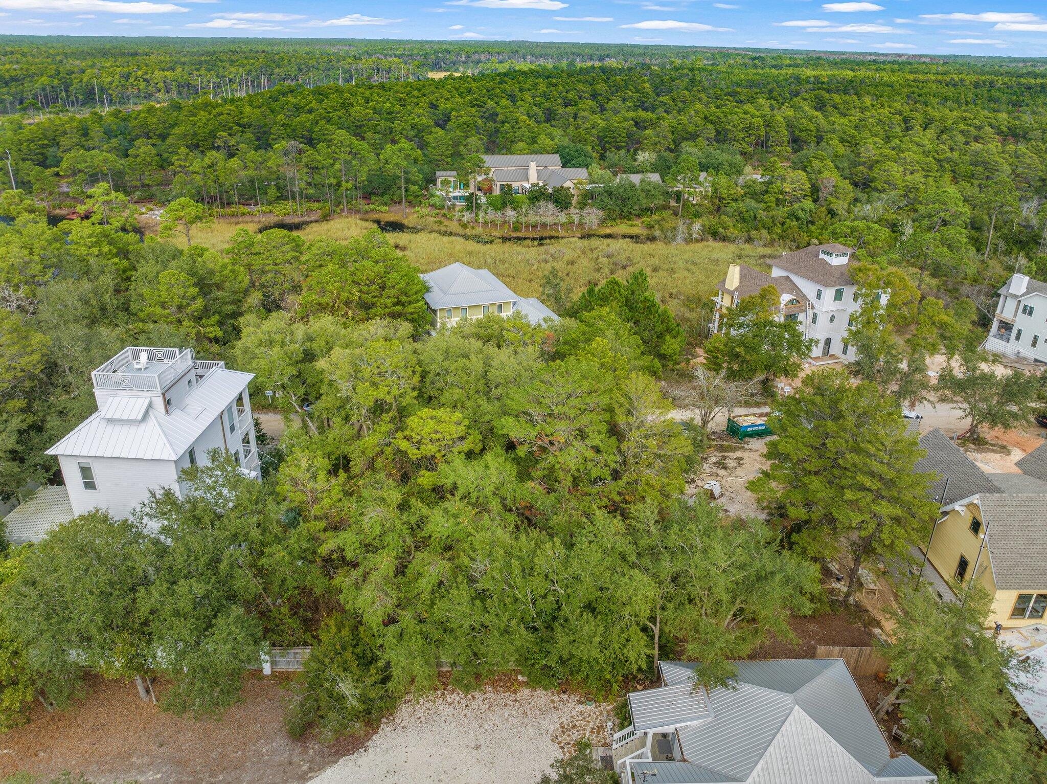 9 South Camp Creek Rd Inlet Beach Inlet Beach, FL 32461 - Photo 6 of 11 a view of a garden with a building in the background
