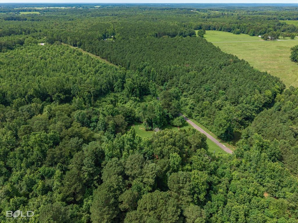 829 Barnes Road Athens, LA 71003 - Photo 24 of 34 Gallery Image 24