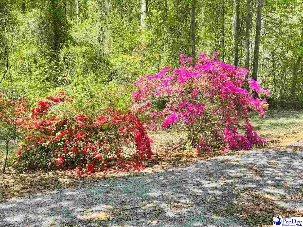 6238 West Market St Extension Cheraw, SC 29520 - Photo 18 of 49 Gallery Image 18