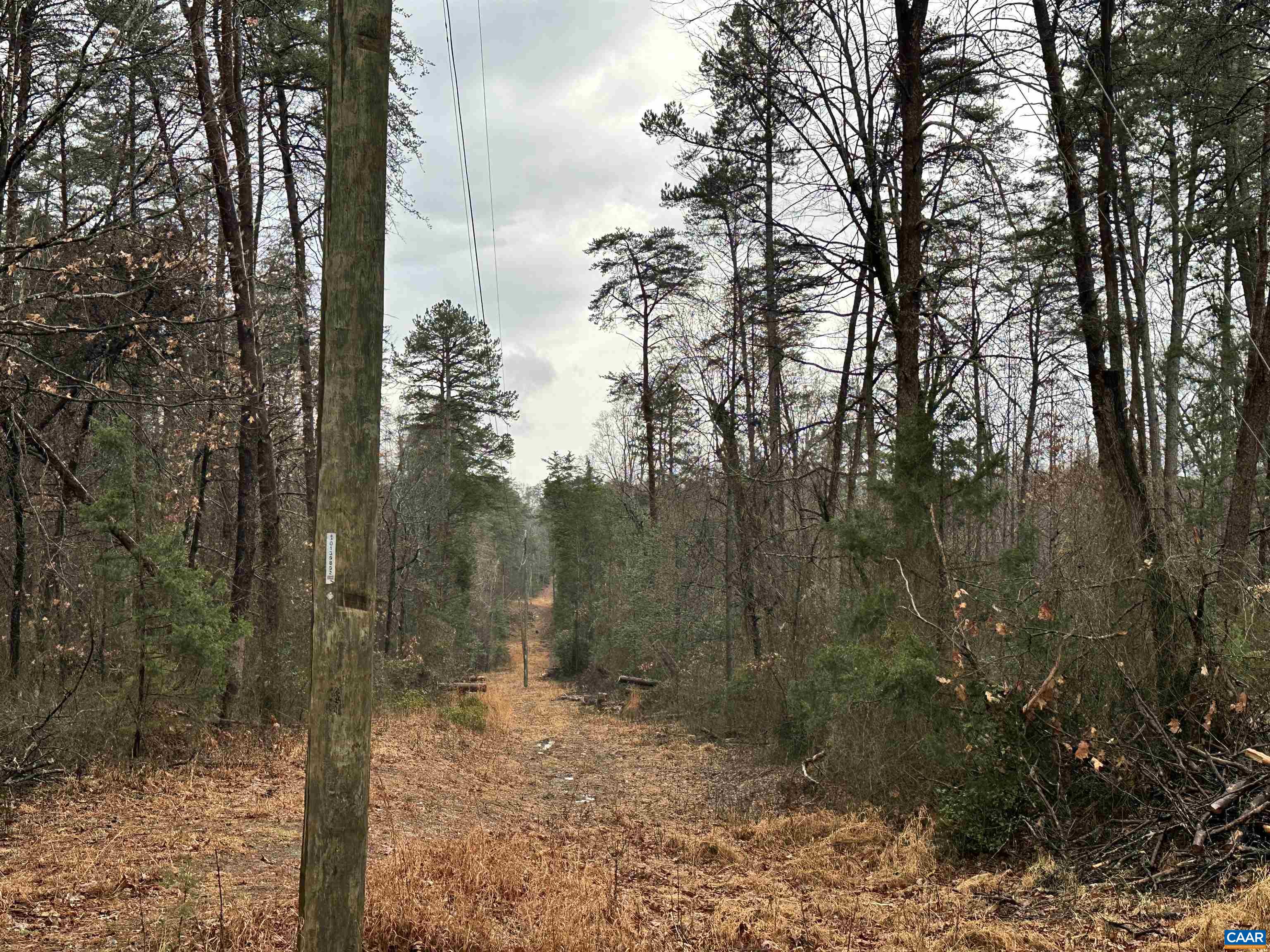 0 Elly Road Aroda, VA 22709 - Photo 21 of 28 Running along edge of lot. Property is to the left.