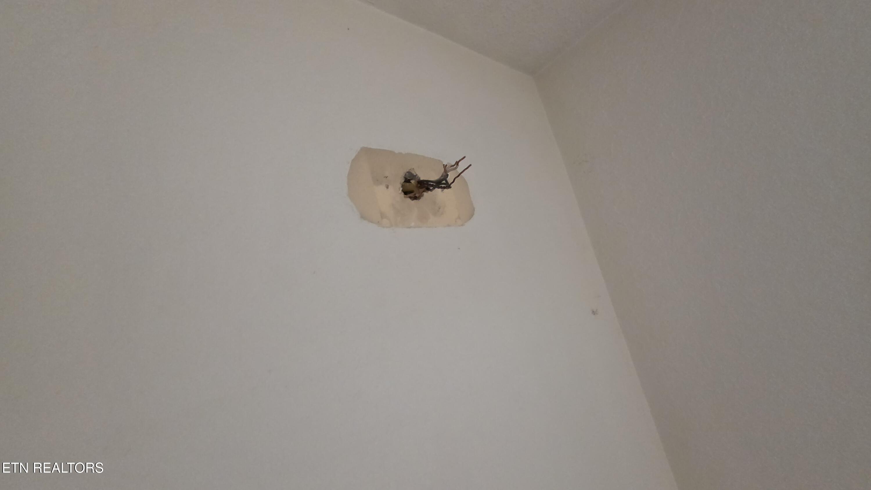 671 Williams Creek Road Oneida, TN 37841 - Photo 28 of 60 20260417_192325