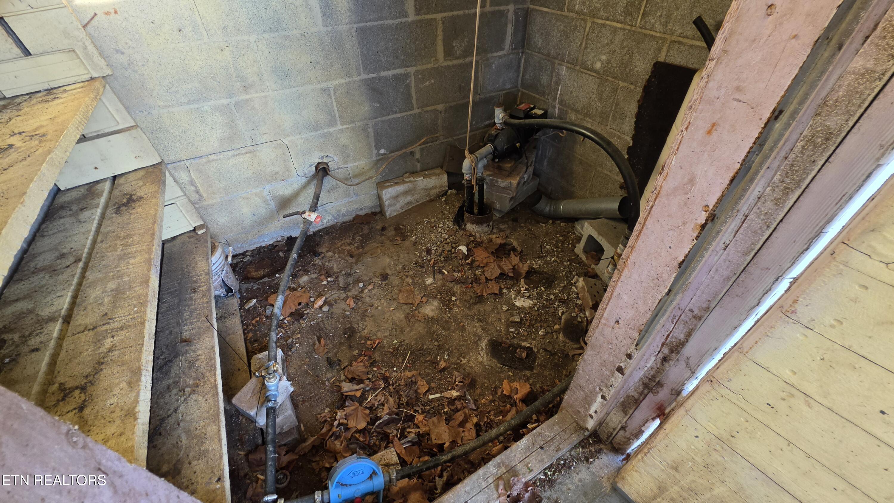 671 Williams Creek Road Oneida, TN 37841 - Photo 58 of 60 20260417_193559