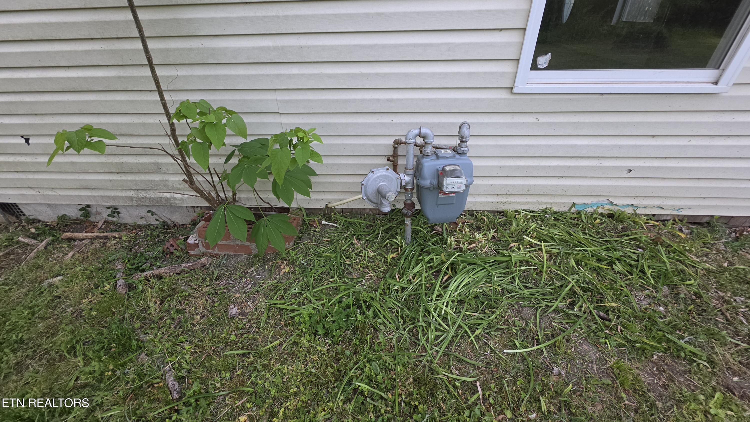 671 Williams Creek Road Oneida, TN 37841 - Photo 10 of 52 20260417_191958