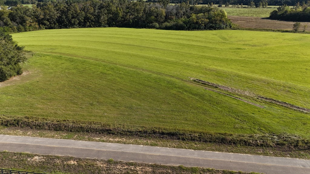 Lot 3 Battles Road Dothan, AL 36301 - Photo 2 of 4