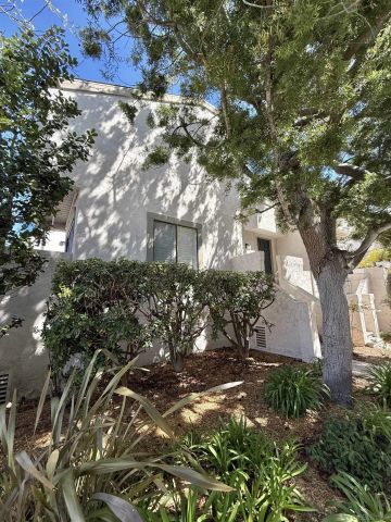 a view of a tree in front of a house