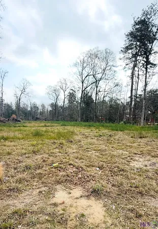 $65,000 | 29490 Red Oak Drive, Walker, LA 70785