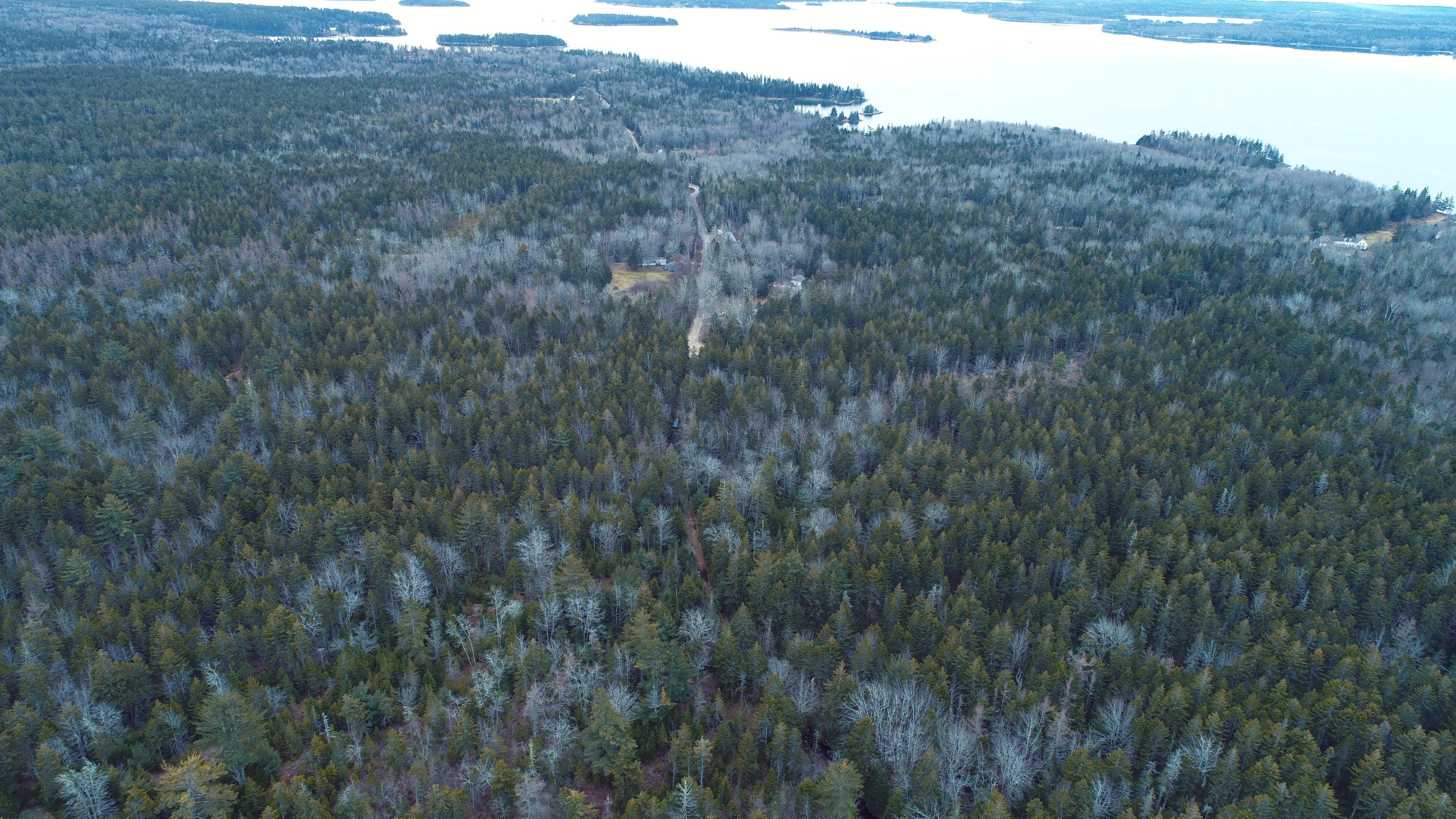 Off Folly Road Brooklin, ME 04616 - Photo 22 of 28 DJI_0021