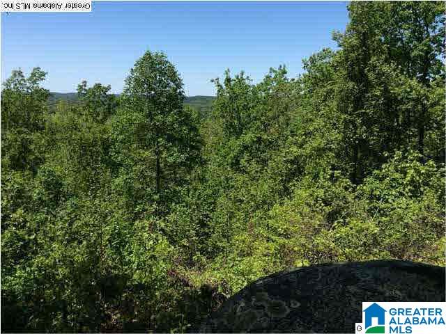 40 Shades Crest Road Birmingham, AL 35226 - Photo 3 of 32