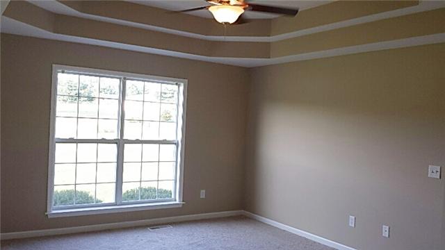 1001 Derryberry Farm Road Columbia, TN 38401 - Photo 13 of 20 Master bedroom features a double trey ceiling