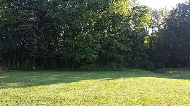 1001 Derryberry Farm Road Columbia, TN 38401 - Photo 19 of 20 Back yard is lined with mature trees.
