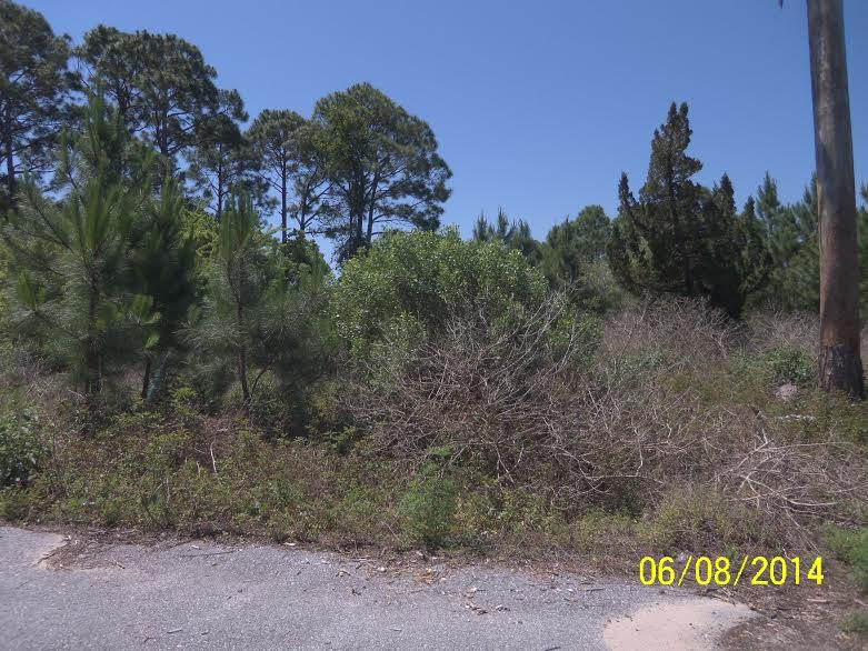 Lot 5 Riley Court Miramar Beach, FL 32550 - Photo 1 of 1 View 1