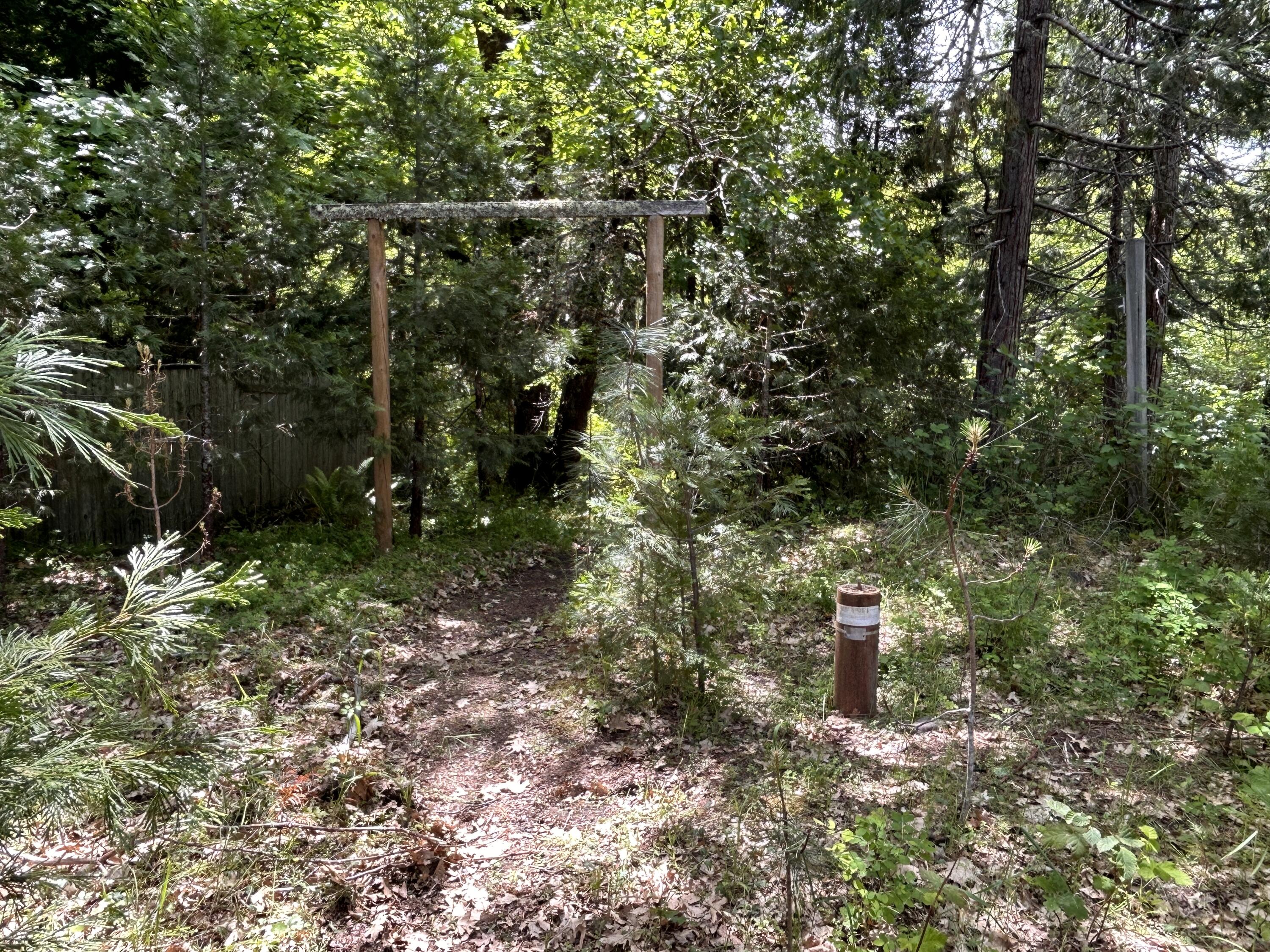 1773 Cedar Flat Road Williams, OR 97544 - Photo 8 of 13