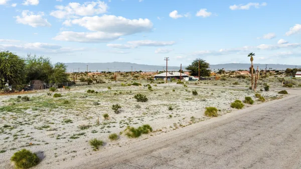 a bathroom with a shower curtain and a potted plant