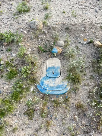 $45,000 | 1552 Nile Drive, Thermal, CA 92274