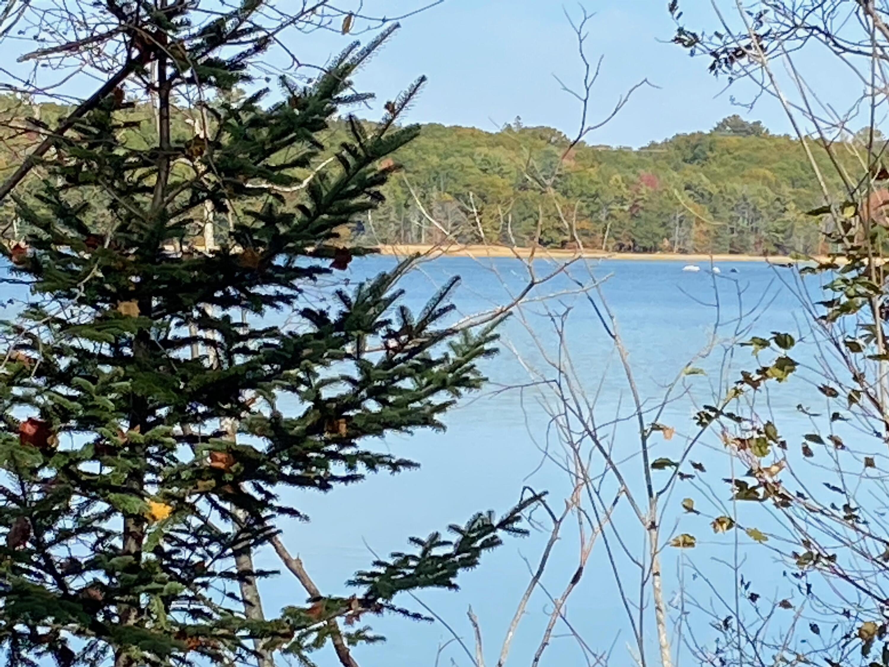 0 South Bay Road Franklin, ME 04634 - Photo 12 of 15 IMG_0431