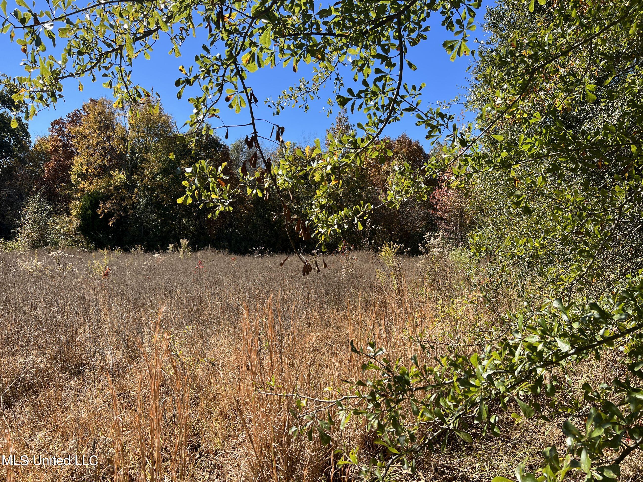 5151 Nash Road Batesville, MS 38606 - Photo 45 of 75 3irvi39