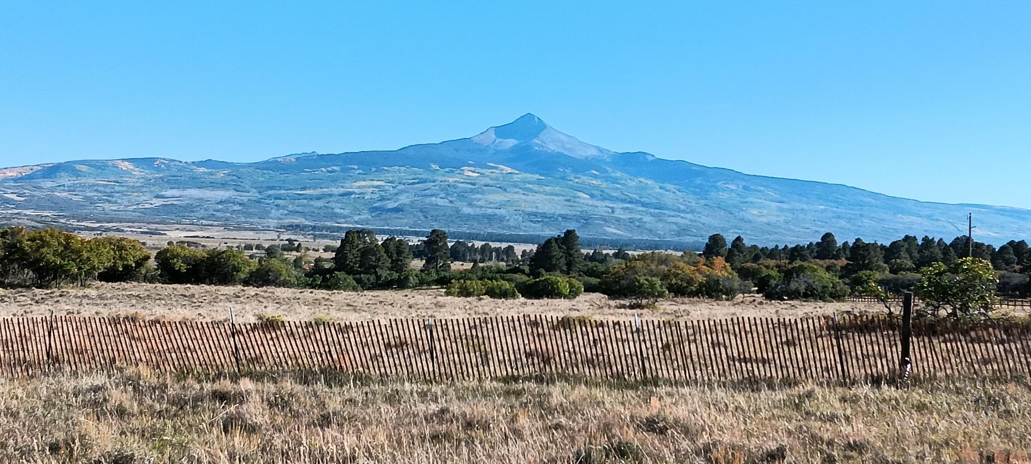 Tbd Beef Trail Road Norwood, CO 81423 - Photo 3 of 7 a view of a backyard