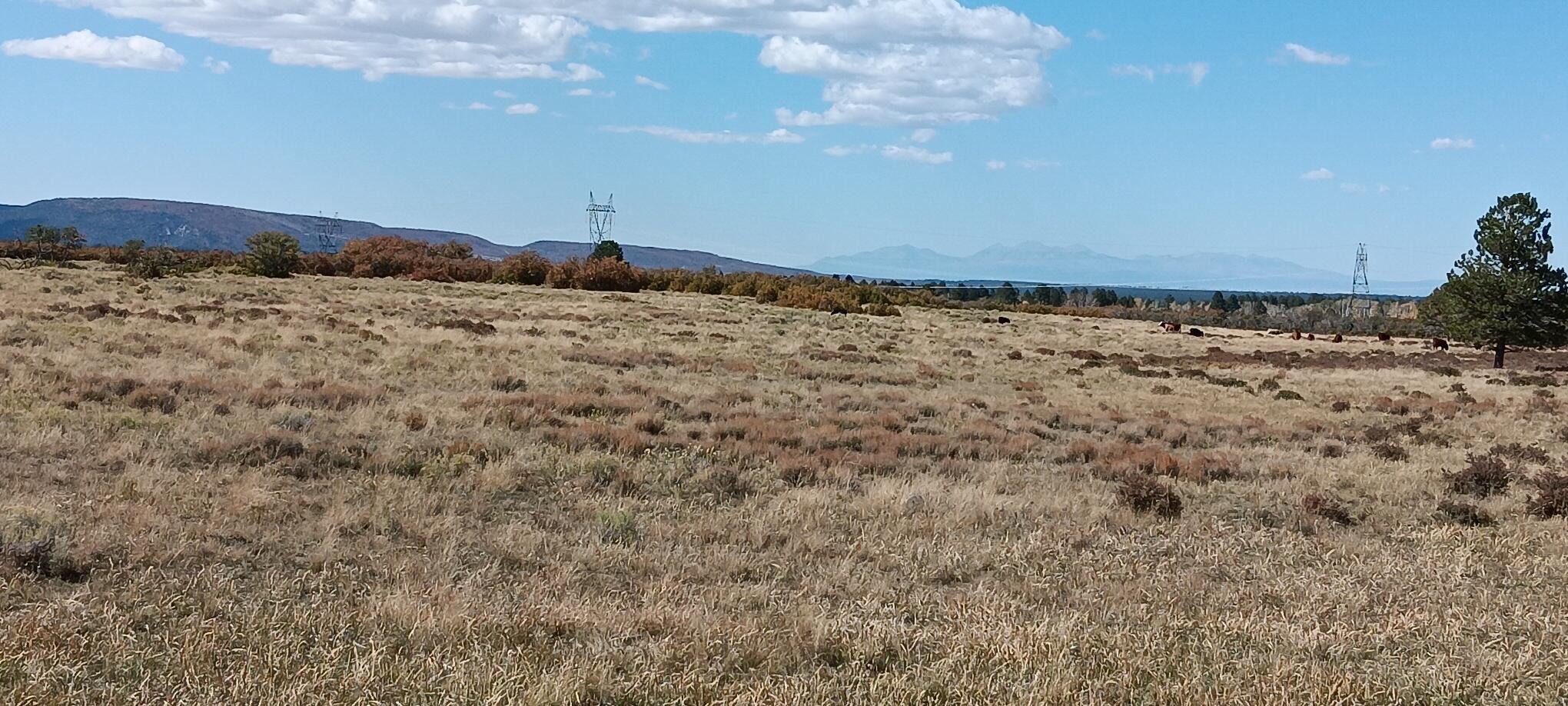 Tbd Beef Trail Road Norwood, CO 81423 - Photo 6 of 7 a view of large sky