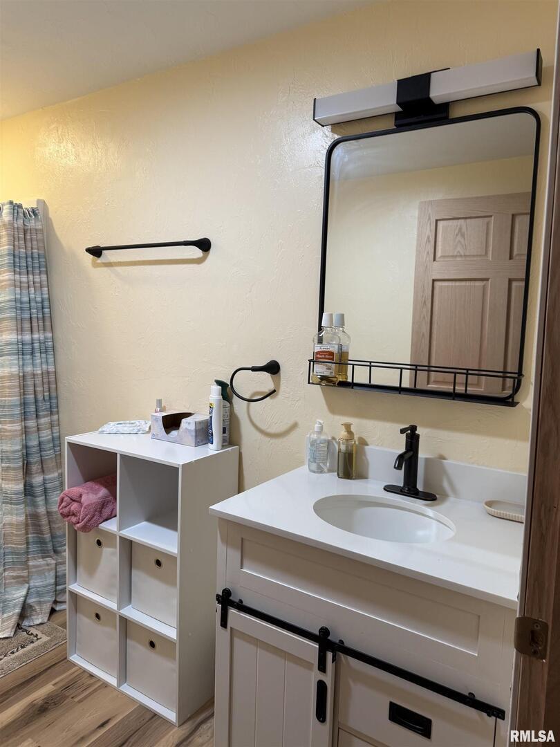 5435 Hickory Ridge Road Pomona, IL 62975 - Photo 30 of 67 a bathroom with a sink and a mirror