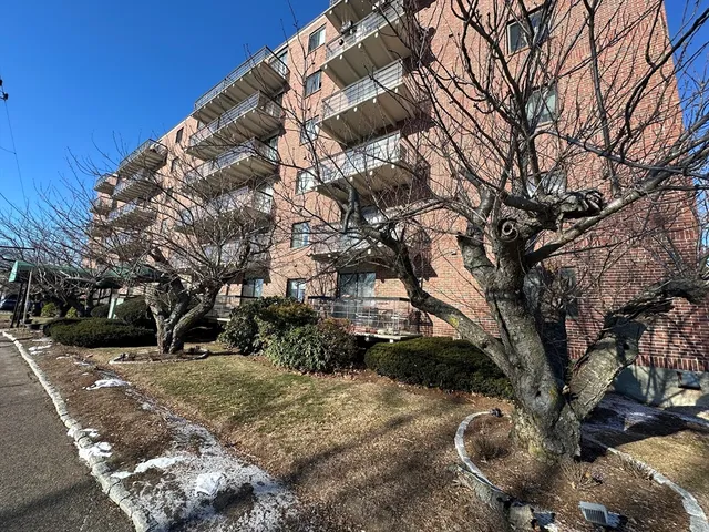 a view of a yard with snow on the road