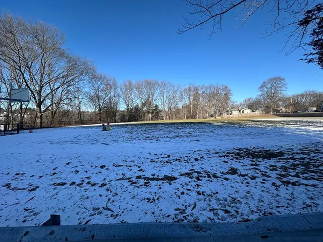 a view of road with large trees