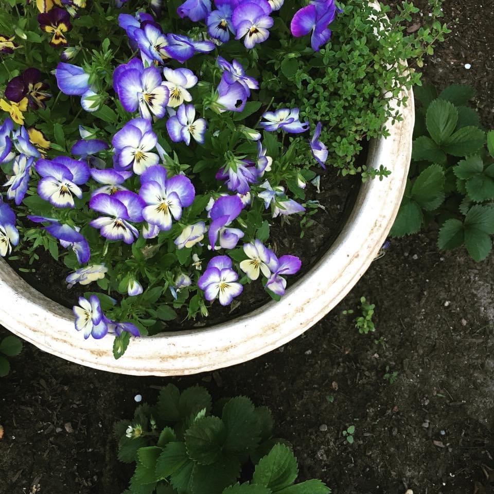 19 Balsam Circle Williston, VT 05495 - Photo 38 of 60