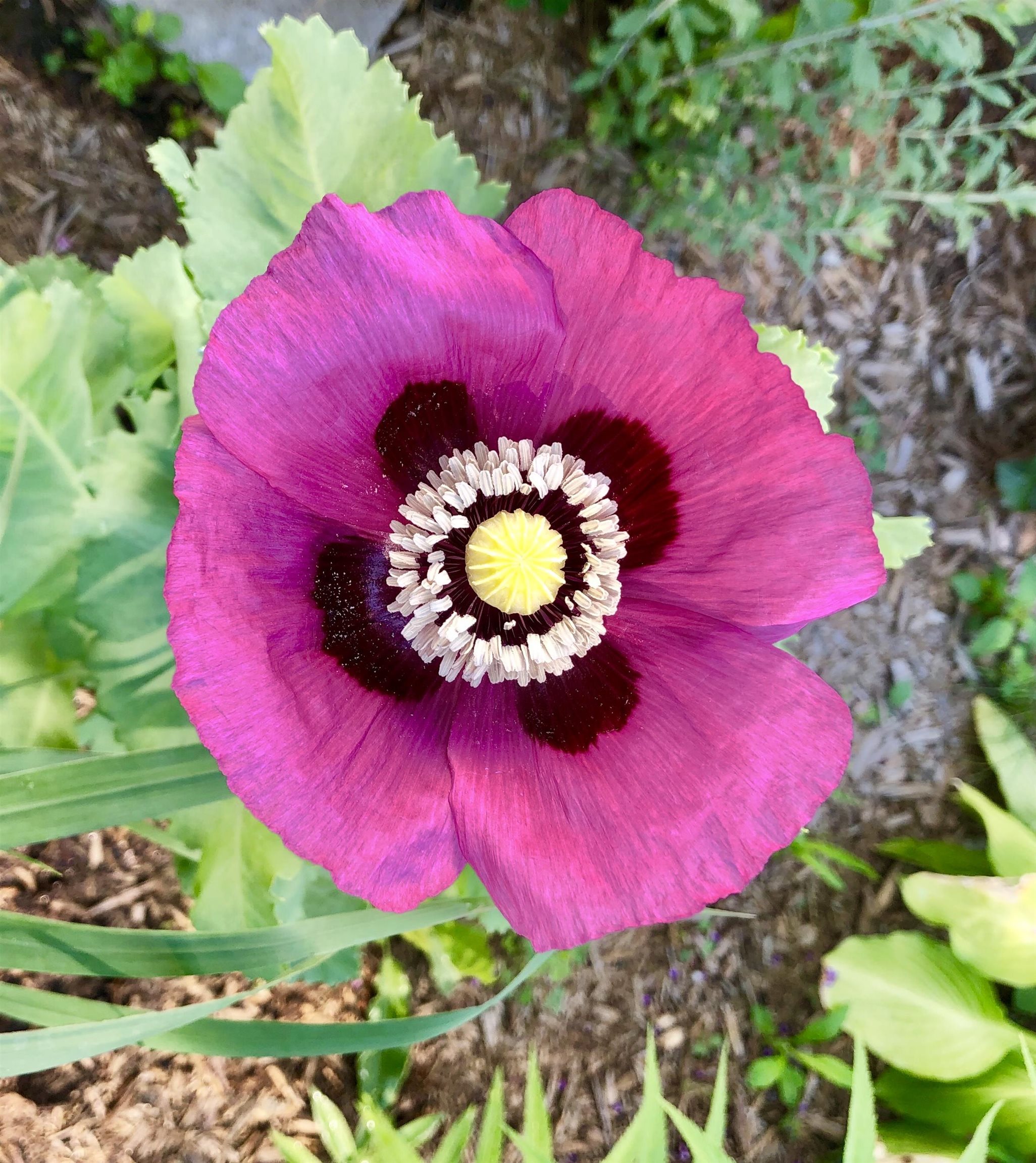 19 Balsam Circle Williston, VT 05495 - Photo 41 of 60
