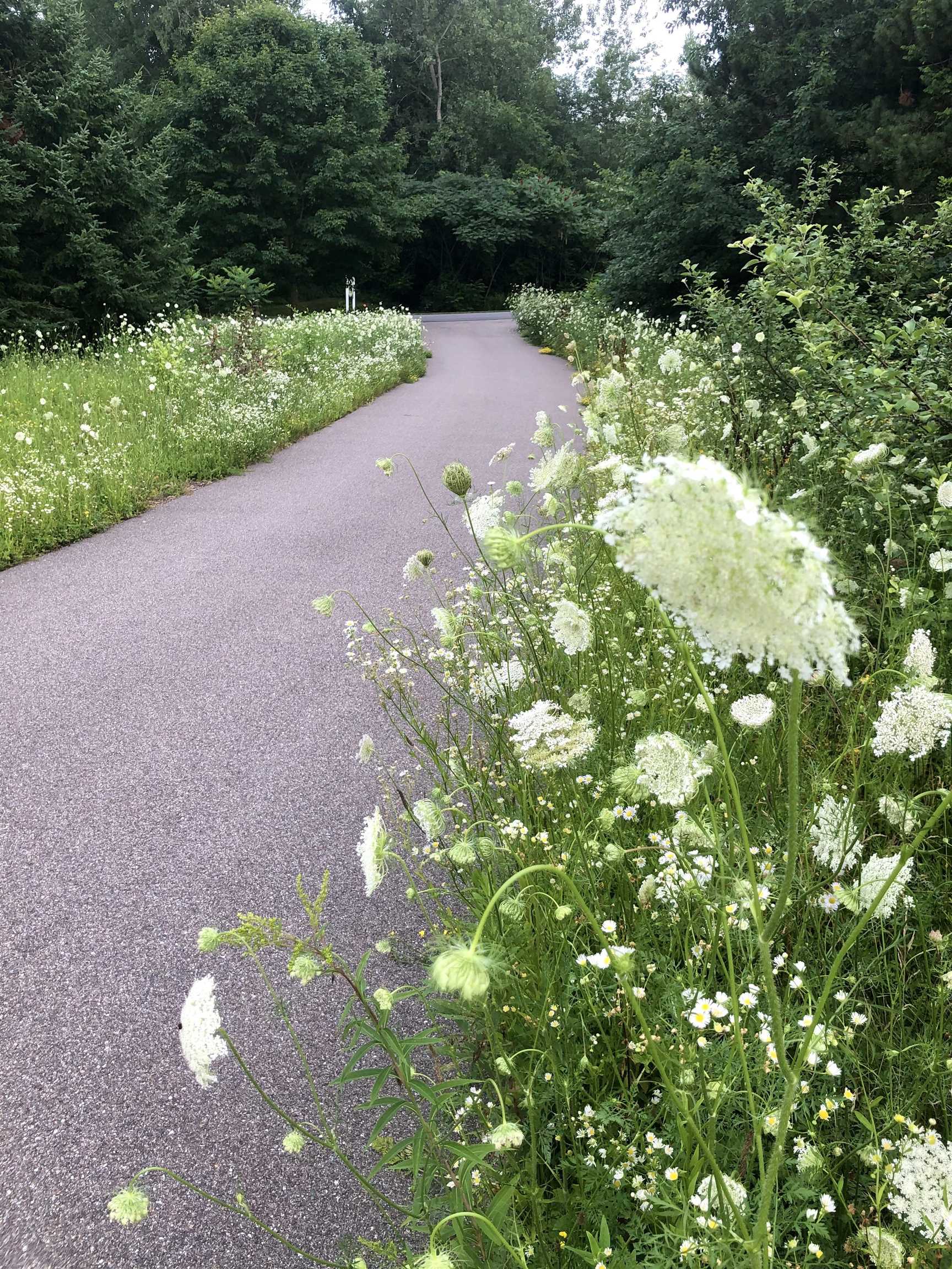 19 Balsam Circle Williston, VT 05495 - Photo 47 of 60