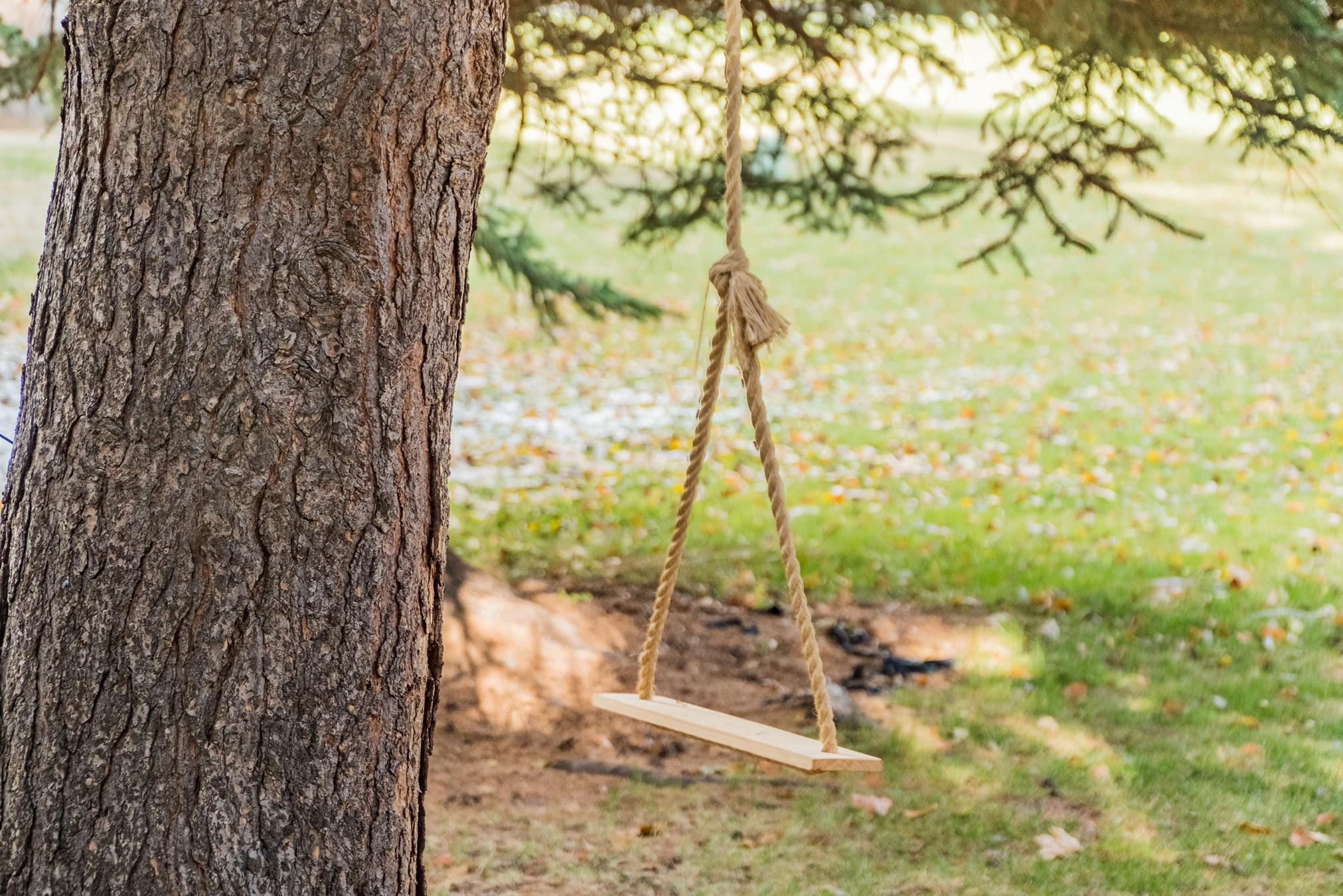 20380 Strawline Road Bend, OR 97702 - Photo 28 of 30 Tree swing on property.