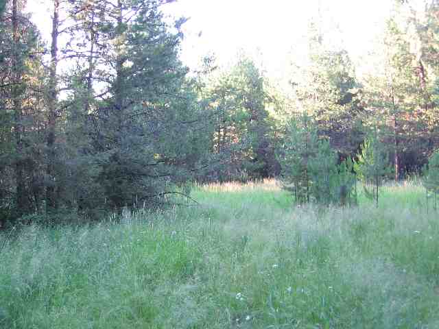 1312 Baker Lake Road Newport, WA 99156 - Photo 2 of 6 Gallery Image 2