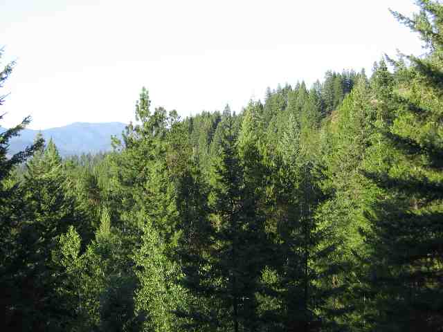 1312 Baker Lake Road Newport, WA 99156 - Photo 3 of 6 Gallery Image 3