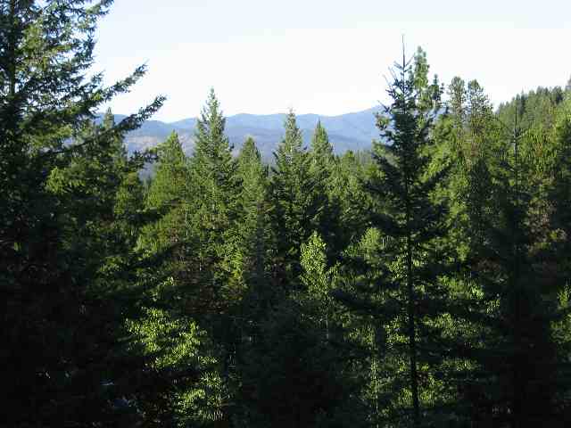 1312 Baker Lake Road Newport, WA 99156 - Photo 4 of 6 Gallery Image 4