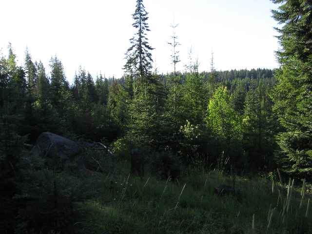 1312 Baker Lake Road Newport, WA 99156 - Photo 6 of 6 Gallery Image 6