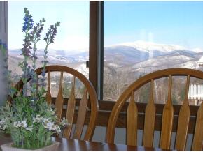 6 Summit Vista Road, Unit 4A Bartlett, NH 03845 - Photo 11 of 12 Gallery Image 11