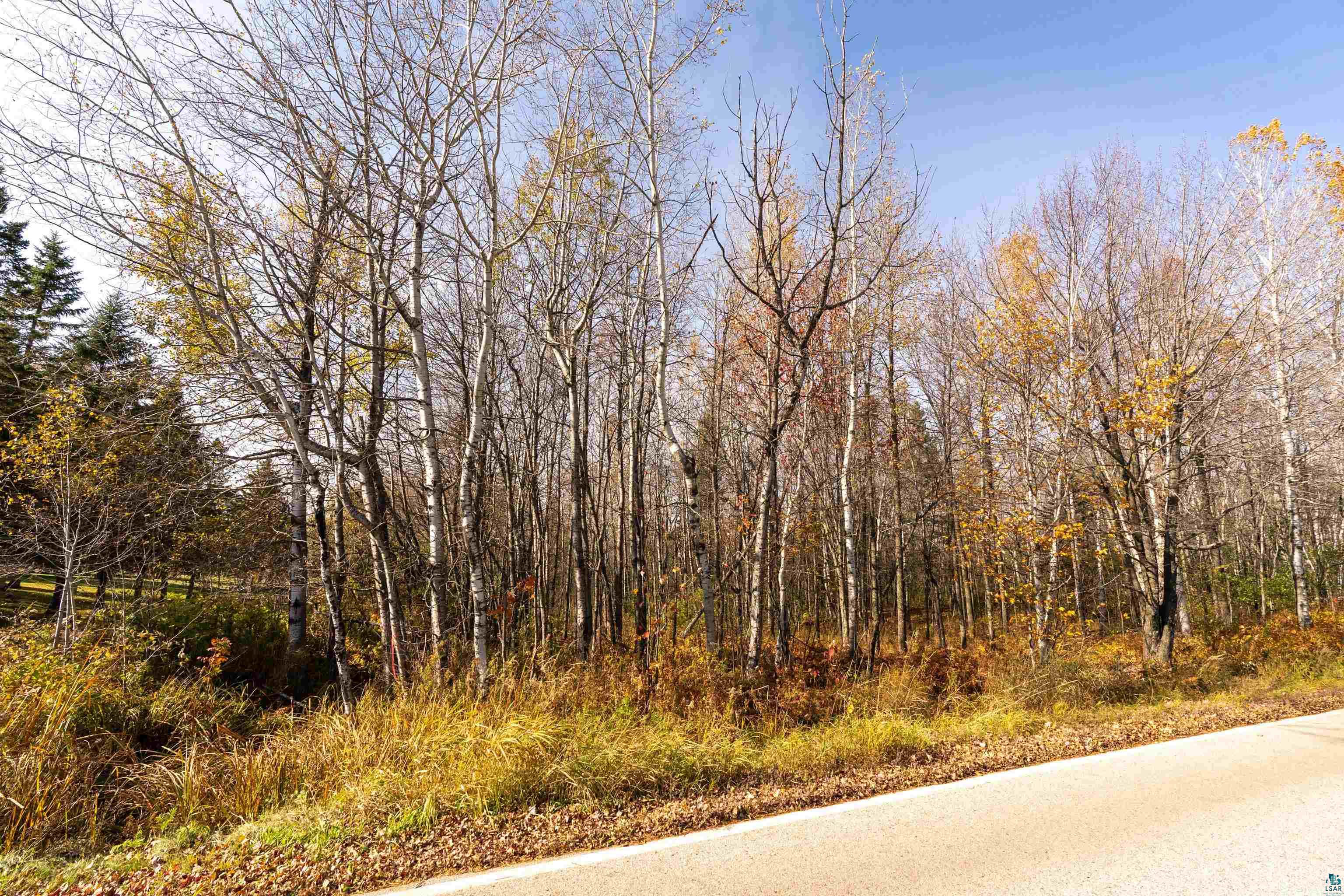 Xxx Lot 1 Xxx Road Hermantown, MN 55811 - Photo 12 of 17