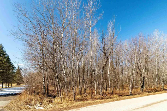 $135,000 | Xxx Lot 1 Xxx Road, Hermantown, MN 55811