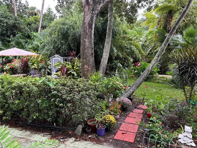 a view of a garden with plants and large trees