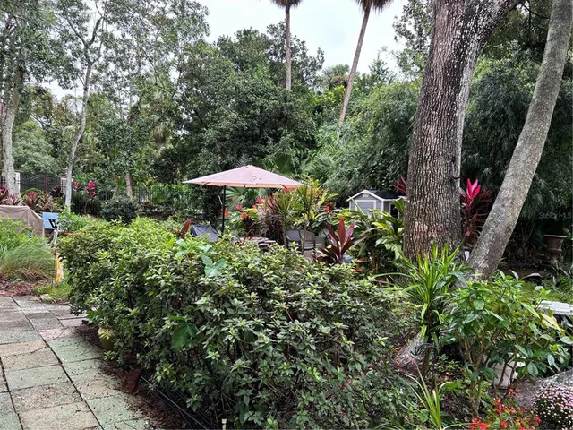 a view of a backyard with plants and a fountain