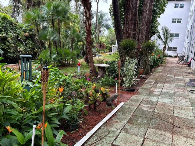 a view of a back yard