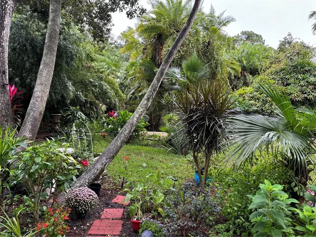 a picture of flowers