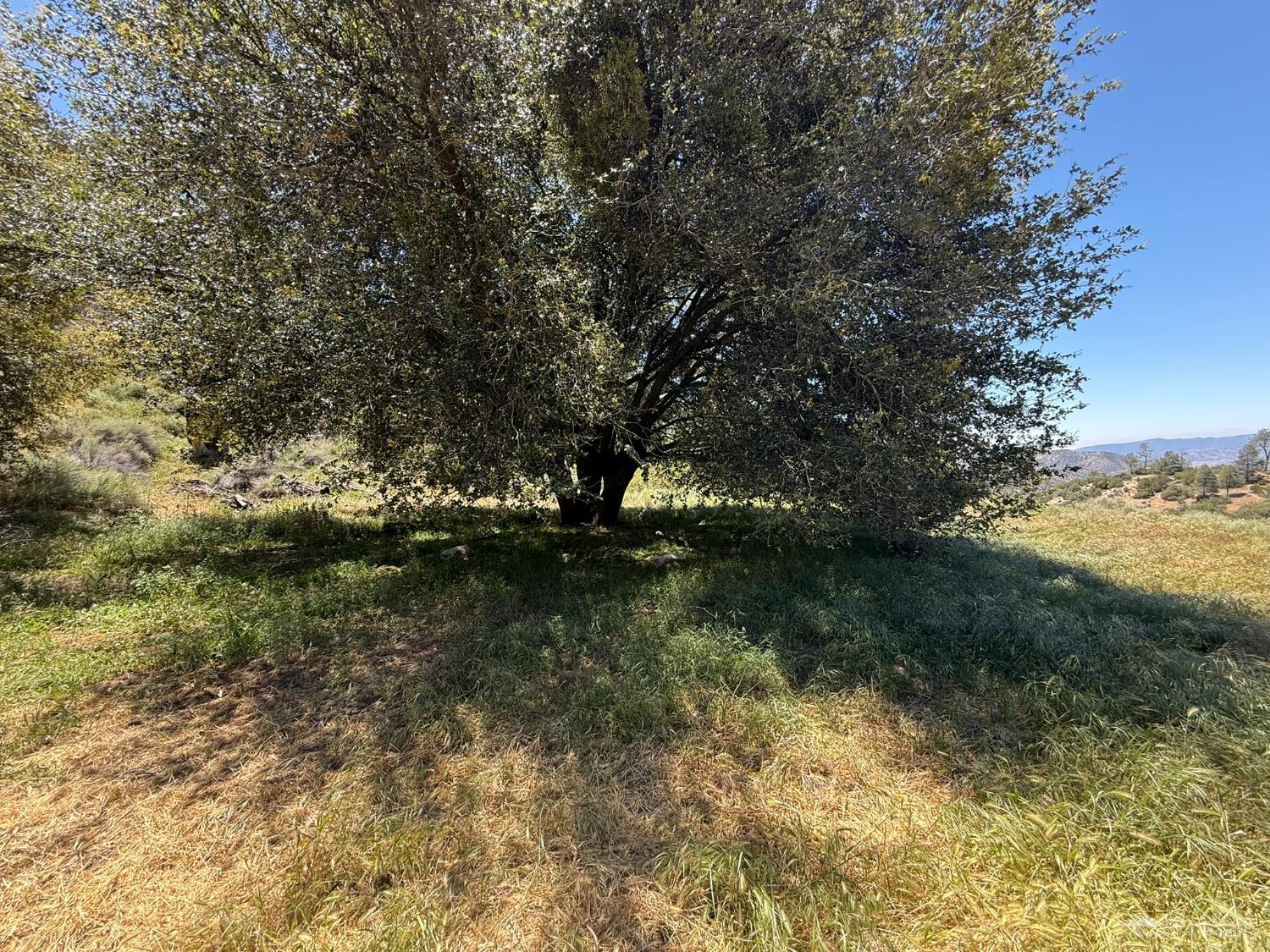 0 Back Canyon Road Caliente, CA 93518 - Photo 7 of 17 Gallery Image 7