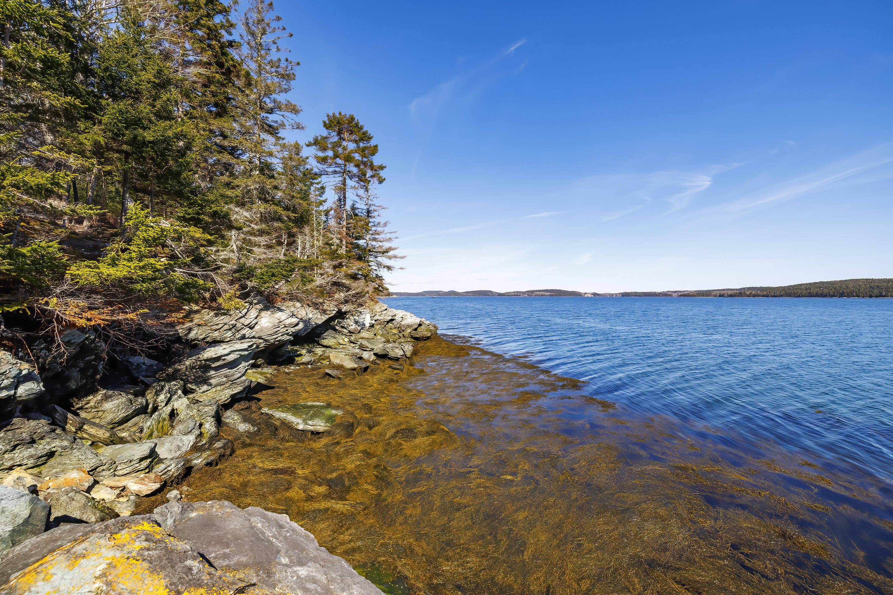 465 Eggemoggin Road Little Deer Isle, ME 04650 - Photo 51 of 67 76- 465 Eggemoggin Road HiRes-DTP (1)