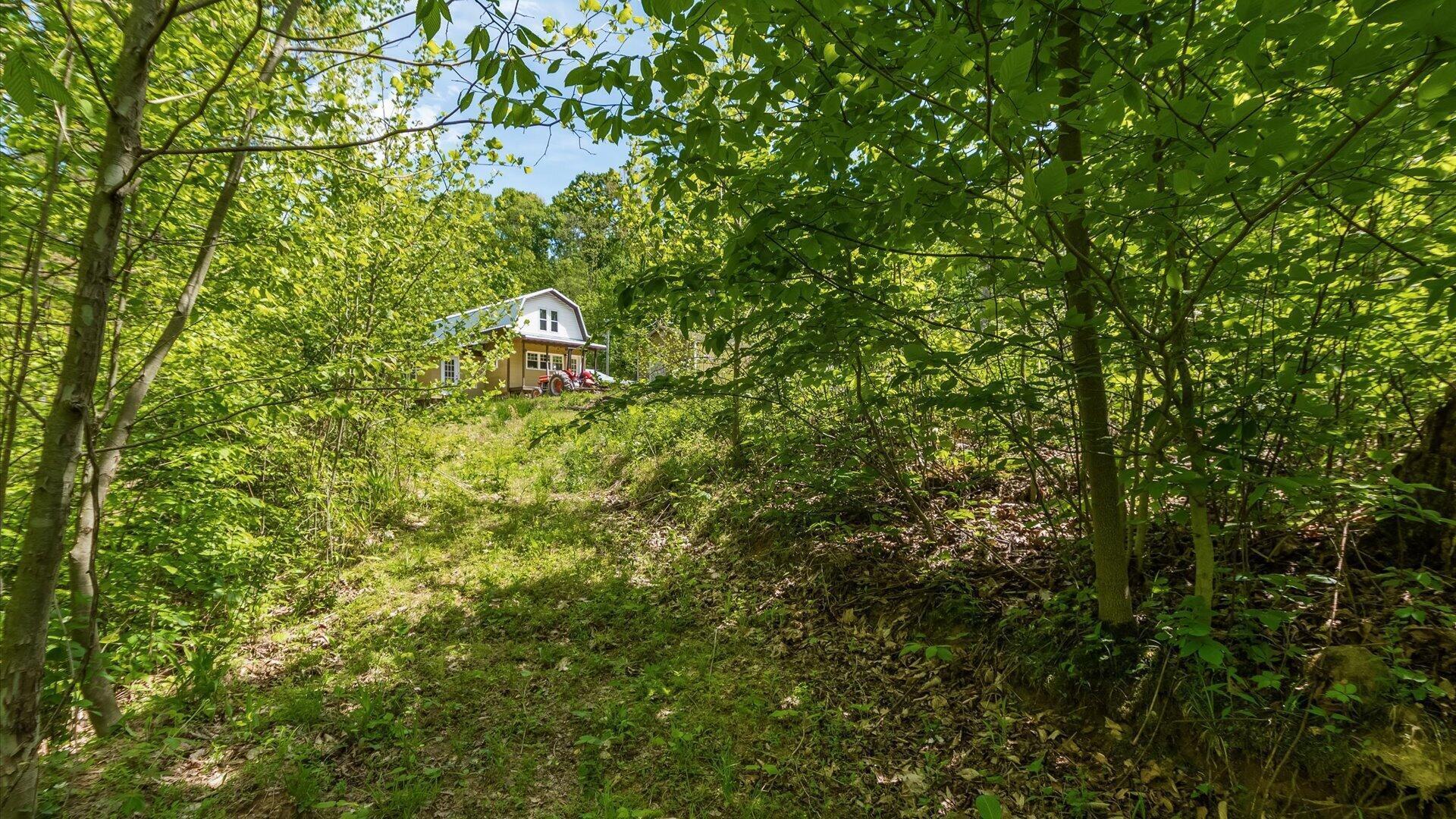 50583 Roy Miles Road Sarahsville, OH 43779 - Photo 19 of 27 16-zj 50583 Roy Miles Rd073a