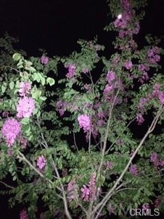 15542 Kiamichi Road Apple Valley, CA 92307 - Photo 27 of 27